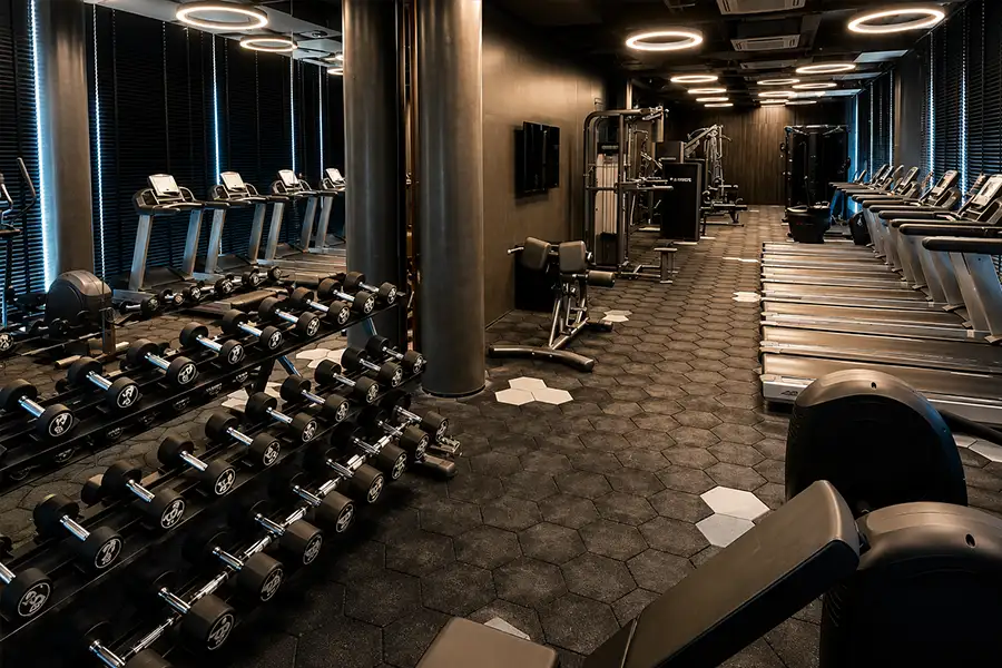 Modern Gym